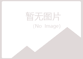 重庆紫山采矿有限公司